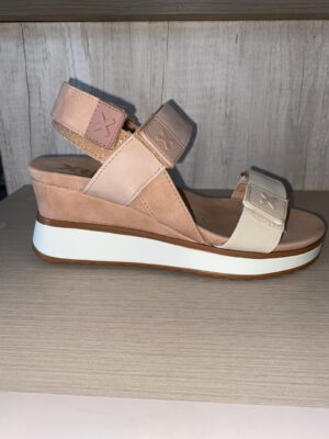 zapato 143848